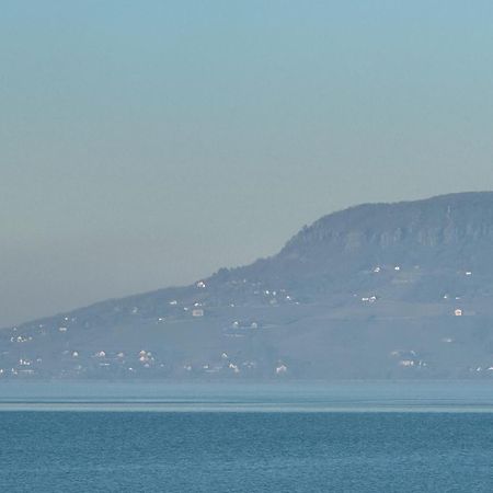 Balaton a kertben - Közvetlen vízparti apartmanok, csodálatos panorámával Balatonfenyves Exterior foto