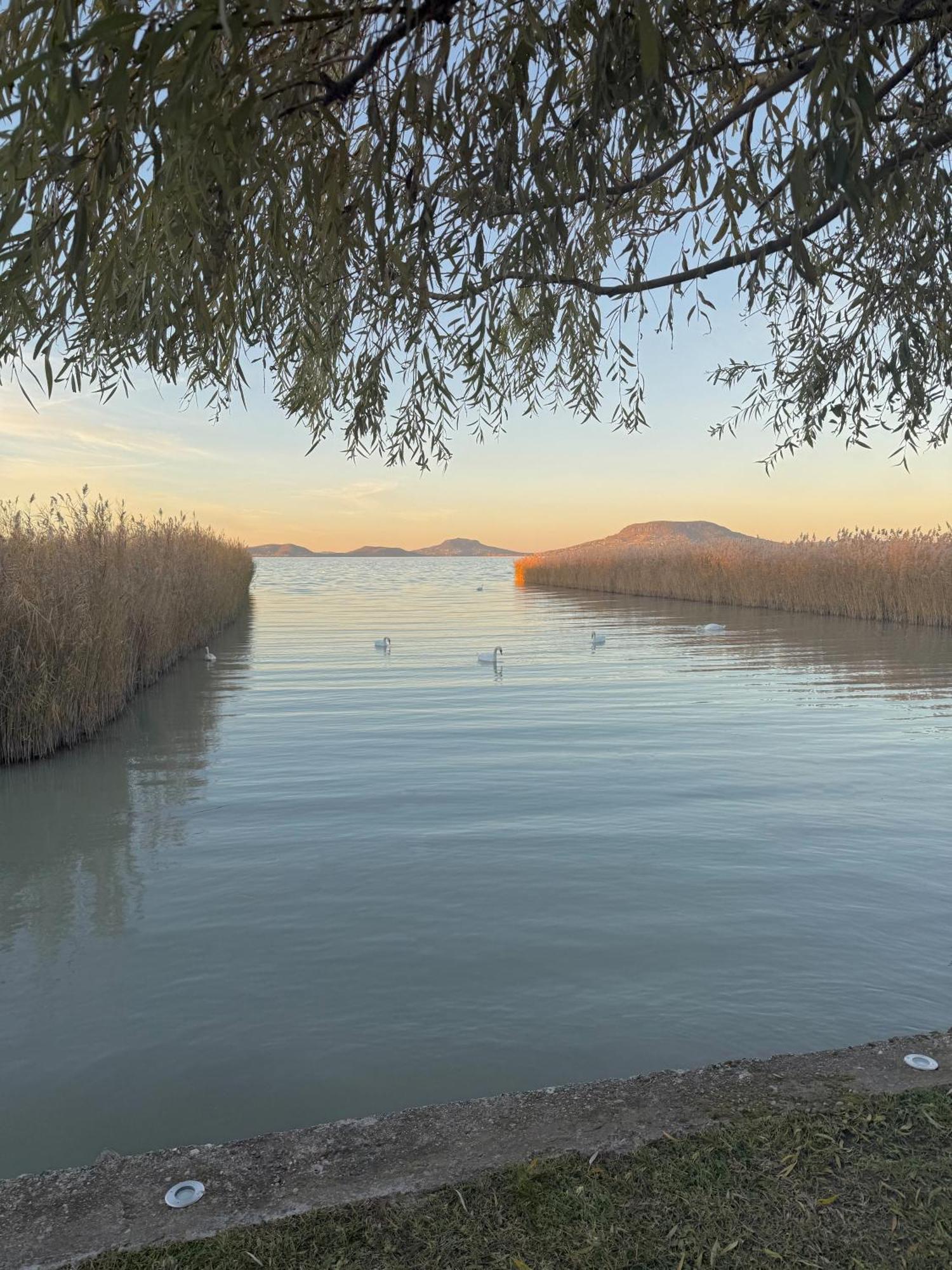 Balaton a kertben - Közvetlen vízparti apartmanok, csodálatos panorámával Balatonfenyves Exterior foto