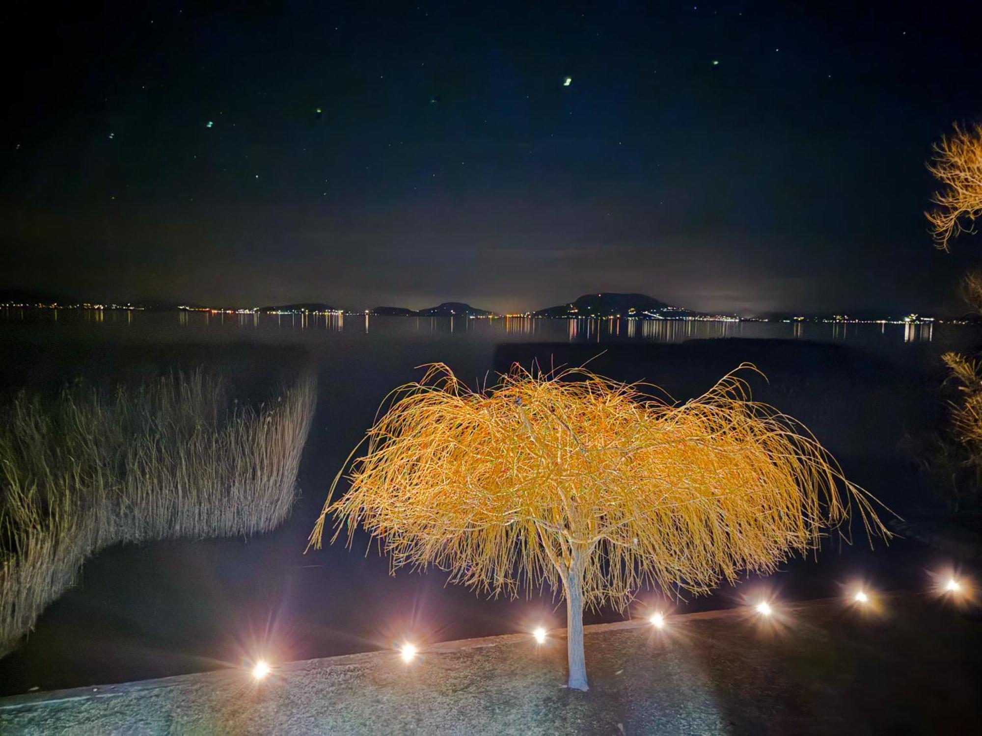 Balaton a kertben - Közvetlen vízparti apartmanok, csodálatos panorámával Balatonfenyves Exterior foto