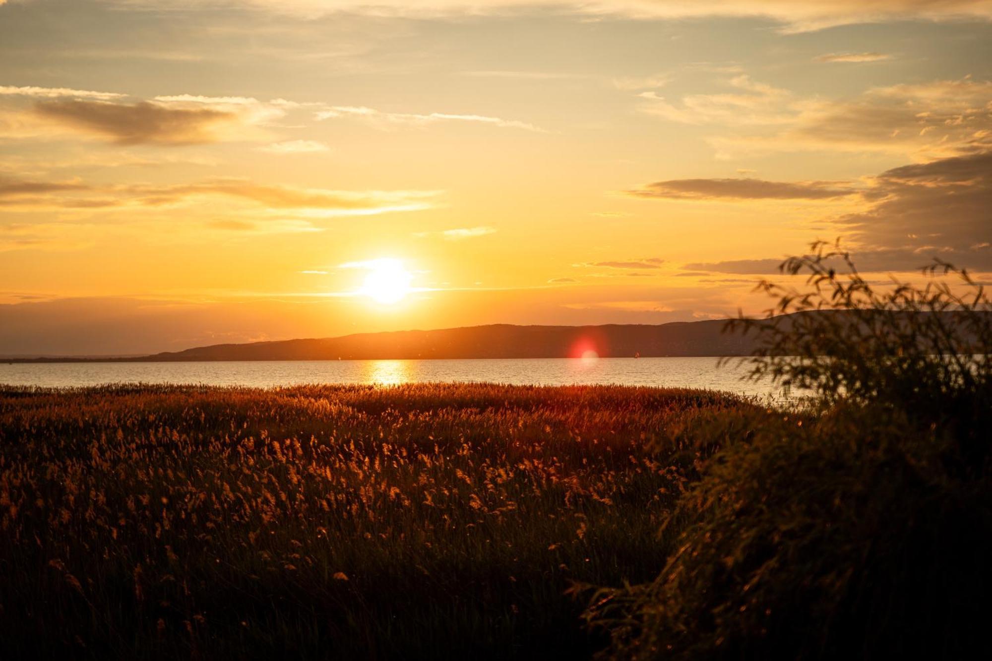 Balaton a kertben - Közvetlen vízparti apartmanok, csodálatos panorámával Balatonfenyves Exterior foto